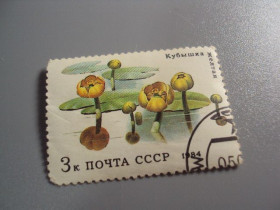 СРСР - СССР - ^/--/^ Марка ссср 1984 флора кубышка желтая цветы водные растения кувшинки гаш №10465 ^_^^^ Марка СРСР 1984 флора кубишка жовта квіти водні рослини глечика гаш No /--/ 10465 - фото фото фото