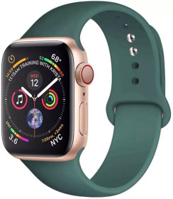 Браслети, ремінці Браслеты, ремешки ^/--/^ Силиконовый браслет для Apple Watch 38 /--/ mm / 40 /--/ mm #64 ^_^^^ Силіконовий браслет для Apple Watch 38 /--/ mm / 40 /--/ mm #64 - фото фото фото