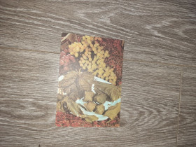 СРСР СССР ^/--/^ Открытка СССР Соленые виноградные листья  1988 /--/ г. ^_^^^ Листівка СРСР Солоне виноградне листя 1988 /--/ р. - фото фото фото