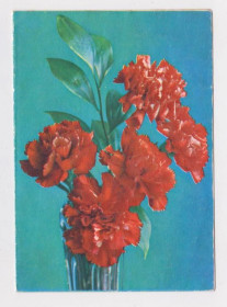 СРСР СССР ^/--/^ ЦВЕТЫ  ТЕЛЕГРАММА 1976 г.  КОСТЕНКО, ВОРОНИН  чистый бланк   ^_^^^ Квіти телеграфу 1976 р. КОСТЕНКО, ВОРОНІН чистий бланк - фото фото фото
