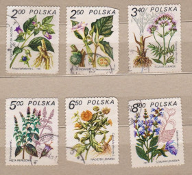Флора Флора ^/--/^ Лікарські рослини - ФЛОРА = 1980 р. = ПОЛЬЩА = гаш. + ^_^^^ Лекарственные растения - ФЛОРА = 1980 г. = ПОЛЬША = гаш. + + - фото фото фото