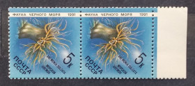 Фауна Фауна ^/--/^ СССР 1991 г - Фауна Черного моря. Морской анемон ^_^^^ СРСР 1991 — Фауна Чорного моря. Морський анемон - фото фото фото