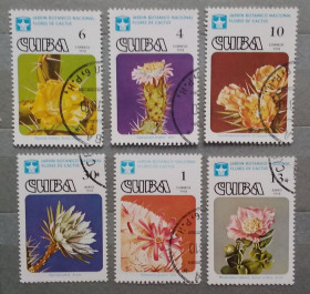Флора Флора ^/--/^ Куба 1978 г - цветущие кактусы ^_^^^ Куба 1978 р. - квітучі кактуси - фото фото фото