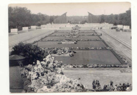 СРСР СССР ^/--/^ 1945 Германия  Война Победа  1 Старое фото ^_^^^ 1945 Німеччина Війна Перемога 1 Старе фото - фото фото фото