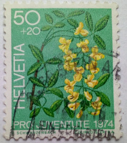 Швейцарія Швейцария ^/--/^ Швейцария 1974 Лесные растения, 50+20 /--/ С, гашеная ^_^^^ Швейцарія 1974 Лісові рослини, 50+20 /--/ С, гашена - фото фото фото