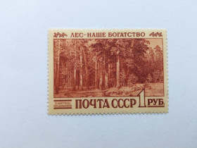 СРСР - СССР - ^/--/^ СССР 1960 г. ЛЕС- НАШЕ БОГАТСТВО. Конгресс по охране лесов. Корабельная  роща № 2466 (2381), чистая ^_^^^ СРСР 1960 р. - наше багатство. Конгрес з охорони лісів. Корабельний гай No 2466 (2381), чистий - фото фото фото