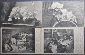 Інше Другое ^/--/^ Франция  Версаль ПК п/п Кошки Собаки 1902 ^_^^^ Франція Версаль ПК п/п Кішки Собаки 1902 - фото фото фото