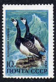 СРСР - СССР - ^/--/^ СРСР 1972 - Пернаті - мешканці узбереж морів та океанів ** ^_^^^ СССР 1972 - Пернати - жители побережий морей и океанов ** - фото фото фото