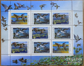 СРСР - СССР - ^/--/^ СССР 1990 фауна птицы утки 2-й выпуск СК 6155-6157 MNH малый лист ^_^^^ СРСР 1990 фауна птаха качки 2-й випуск СК 6155-6157 MNH малий лист - фото фото фото