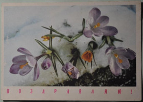 Інше Другое ^/--/^ СССР Открытка Поздравляю 1968 ^_^^^ СРСР Поздоровляю 1968 - фото фото фото