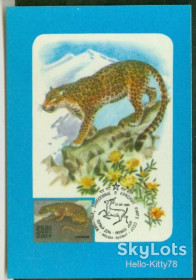 Календарі Календари ^/--/^ СССР 1988 фауна картмаксимум на календарике 1985 СК 5594 ^_^^^ СРСР 1988 фауна картмаксимум на календарику 1985 СК 5594 - фото фото фото