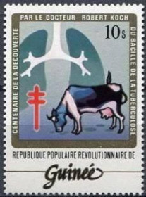 Інше Другое ^/--/^ Гвинея Медицина Туберкулез Кох Фауна Корова 1983 - фото фото фото