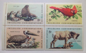 Північна Америка Северная Америка ^/--/^ США 1972 Дикие животные, фауна, квартблок, MNH ^_^^^ США 1972 Дикі тварини, фауна, квартблок, MNH - фото фото фото