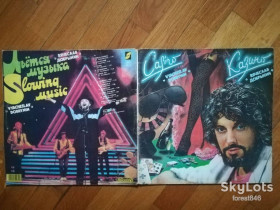 Платівки Пластинки ^/--/^ Вячеслав Добрынин-Казино, Льется музыка  (2)-2 LPs-Ex.-, Росія ^_^^^ Вячеслав Добрынин-Казино, Льется музыка (2)-2 LPs-Ex.-, Россия - фото фото фото