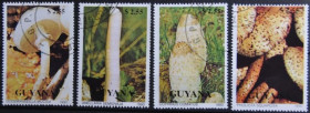 Інше Другое ^/--/^ Гайана Флора Грибы 1990 ^_^^^ Гайана Флора Гриби 1990 - фото фото фото