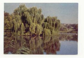 СРСР СССР ^/--/^ СССР 1975 открытка Кишинев Парк Семехина ^_^^^ СРСР 1975 листівка Кишинів Парк Семехіна - фото фото фото