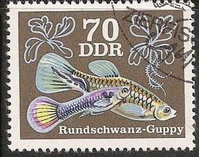 НДР, ФРН ГДР, ФРГ ^/--/^ ГДР 1976 Mi.2181 гаш. КОНЦОВКА серии ^_^^^ НДР 1976 Mi.2181 гаш. КОНЦОВКА СЕРІЇ - фото фото фото