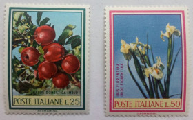 Італія, Ватикан Италия, Ватикан ^/--/^ Италия 1967 Фрукты и цветы, MNH ^_^^^ Італія 1967 Фрукти і квіти, MNH - фото фото фото