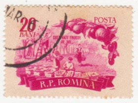 Румунія Румыния ^/--/^ Румыния 1955 г №  1546 гашеная ^_^^^ Румунія 1955 р. No 1546 гашена - фото фото фото