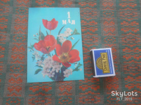 СРСР СССР ^/--/^ 1 Мая .  Худ.  И.Дергилёв        1990 г. ^_^^^ 1 Травня. І.Дергільов 1990 - фото фото фото