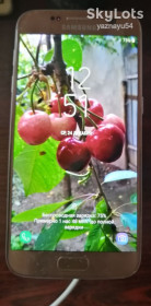 Зарядні пристрої Зарядные устройства ^/--/^ Зарядний пристрій ^_^^^ Зарядное устройство - фото фото фото