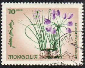 Монголія Монголия ^/--/^ Монголія 1971 - Рідні квіти  (Г) ^_^^^ Монголия 1971 - Родные цветы (Г) - фото фото фото