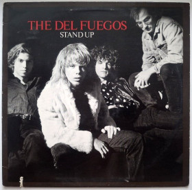Платівки Пластинки ^/--/^ The Del Fuegos - Stand Up - 1987.  (LP). 12. Vinyl. Пластинка. USA. ^_^^^ The Del Fuegos - Stand Up - 1987. 12.Vinyl. Пластинка. USA. - фото фото фото