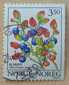 Флора Флора ^/--/^ Норвегия 1995 г - Черника обыкновенная  (Vaccinium myrtillus), гаш ^_^^^ Норвегія 1995 — Чорниця звичайна (Vaccinium myrtillus), гаш - фото фото фото