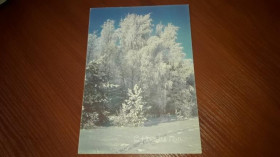 Інше Другое ^/--/^ Открытка С Новым годом 1987 Дорожинский ПП ^_^^^ З Новим роком 1987 Дорожинський ПП - фото фото фото