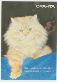 Календарі Календари ^/--/^ Календарик карманный Оранта 1993 ^_^^^ Календарик кишеньковий Оранта 1993 - фото фото фото