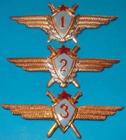 Відзнаки Знаки отличий ^/--/^ военный летчик 1, 2, 3-го класса (классность) ^_^^^ військовий льотчик 1, 2, 3-го класу (класність) - фото фото фото