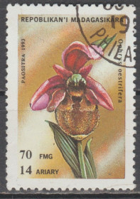 Флора Флора ^/--/^ Мадагаскар 1993 флора цветы ^_^^^ Мадагаскар 1993 флора квіти - фото фото фото