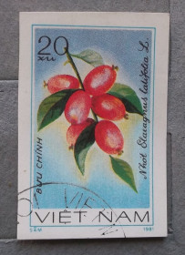 Флора Флора ^/--/^ Вьетнам 1981 г - Лох узколистный ^_^^^ В'єтнам 1981 - Лох вузьколистий - фото фото фото