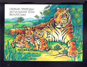 Фауна Фауна ^/--/^ Фауна  СССР 1992 г MNH - тигр ^_^^^ NM Фауна СРСР 1992 р MNH - тигр - фото фото фото