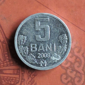 Молдова Молдова ^/--/^ Молдова 5 бани 2008 ^_^^^ Молдова 5 баны 2008 - фото фото фото