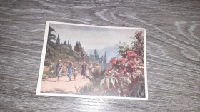 СРСР СССР ^/--/^ Открытка СССР   Ялта Крым   1956 /--/ г. ^_^^^ Листівка СРСР Ялта Крим 1956 /--/ р. - фото фото фото