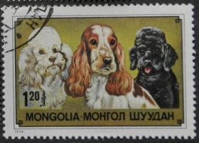 Інше Другое ^/--/^ Монголия Фауна Собаки 1978 ^_^^^ Монголія Фауна Собаки 1978 - фото фото фото