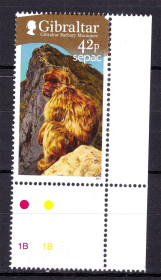 Фауна Фауна ^/--/^ NM Фауна . Гибралтар 2011 г  MNH - приматы ^_^^^ NM Фауна . Гібралтар 2011 р MNH - примати - фото фото фото