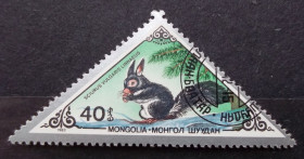 Фауна Фауна ^/--/^ Монголия 1983 г - белка ^_^^^ Монголія 1983 — білка - фото фото фото