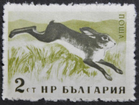 Інше Другое ^/--/^ Болгария Фауна Заяц 1958 ^_^^^ Болгарія Фауна Заєць 1958 - фото фото фото