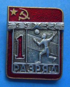 Спортивні Спортивные ^/--/^ 1 разряд волейбол ЭПРК накладной ^_^^^ 1 розряд волейбол ЕПРК накладний - фото фото фото