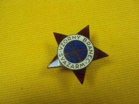 Відзнаки Знаки отличий ^/--/^ знак чсср VZORNY BRANEC SVAZARM №10631 ^_^^^ знак чсср VZORNY BRANEC SVAZARM No /--/ 10631 - фото фото фото