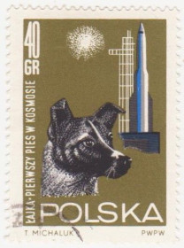 Польща Польша ^/--/^ Польша 1964 г №  1548 гашеная ^_^^^ Польща 1964 р. No 1548 гашена - фото фото фото