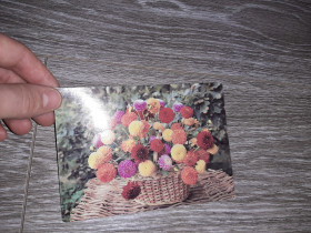 СРСР СССР ^/--/^ Открытка СССР цветы 1986 /--/ г. ^_^^^ Листівка СРСР квіти 1986 /--/ р. - фото фото фото
