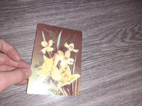 СРСР СССР ^/--/^ Открытка СССР цветы 1989 /--/ г. ^_^^^ Листівка СРСР квіти 1989 /--/ р. - фото фото фото