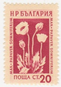 Балканський півострів Балканский полуостров ^/--/^ Болгария 1953 г № 869 ** ^_^^^ Болгарія 1953 р No 869 ** - фото фото фото