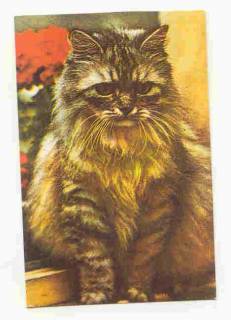 Календарі Календари ^/--/^ СССР 1989 Календарик Флора фауна  Кот Кошка Котович ^_^^^ СРСР 1989 Календарик Флора фауна Кот Кошка Котович - фото фото фото