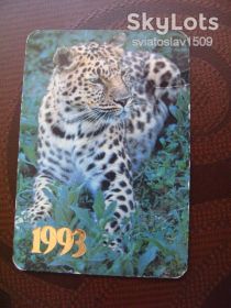 Календарі Календари ^/--/^ календарик России  (1993 г ) ^_^^^ календарик Росії (1993) - фото фото фото