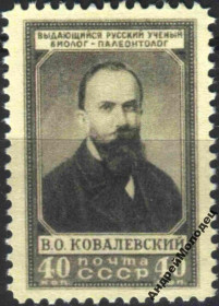 Інше Другое ^/--/^ 1952. Ковалевский. Серия. MNH. Копия.<span class"replica">replica<div class" ^_^^^ 1952. Ковалевський. Серія. MNH. Копія.<span class"replica">replica<div class" - фото фото фото