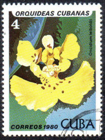 Острівні держави Островные государства ^/--/^ Куба 1980 - Орхідеї  (Г) ^_^^^ Куба 1980 - Орхидеи (Г) - фото фото фото